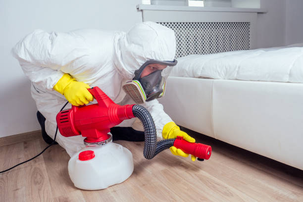 Best Pest Exclusion Services  in Elmwood, LA